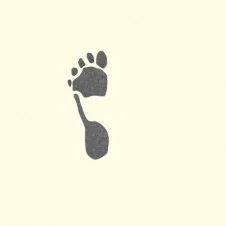 Footprint A1 226x226