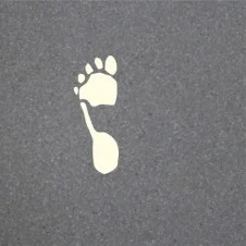 Footprint B1 226x226