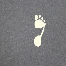 Footprint B2 226x226